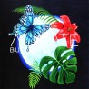 ALICATE - Butterfly (CD)