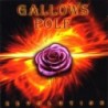 Gallows Pole - Revolution (CD)